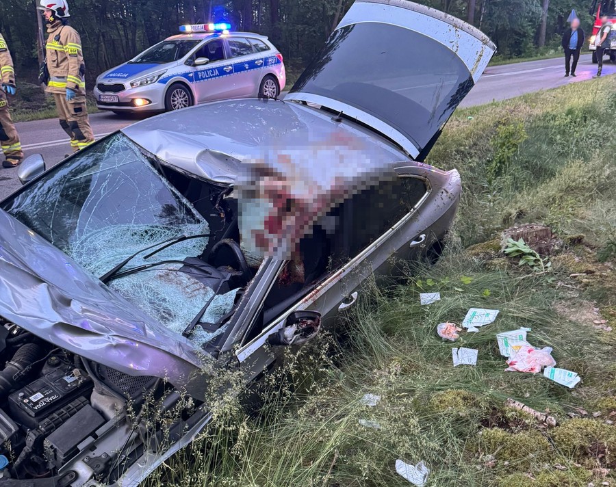 Skoda uderzyła w łosia. Kierowcę przewieziono do szpitala
